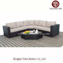 Heiß! New Style Rattan Sofa Set (1103)